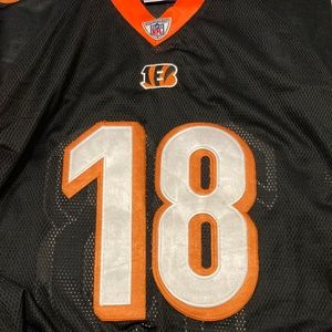 AJ Green Bengals jersey